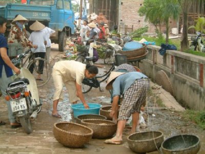 COMERCIO - PUESTO PESCADO